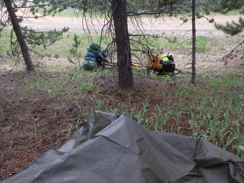 GDMBR: It's Raining. We took refuge under a pine tree with a large branch spread.